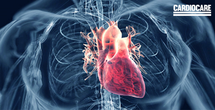 Ocho consejos simples para usar Hipertensión cardiaca para adelantar a sus competidores