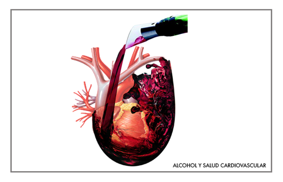 Alcohol y la salud cardiovascular