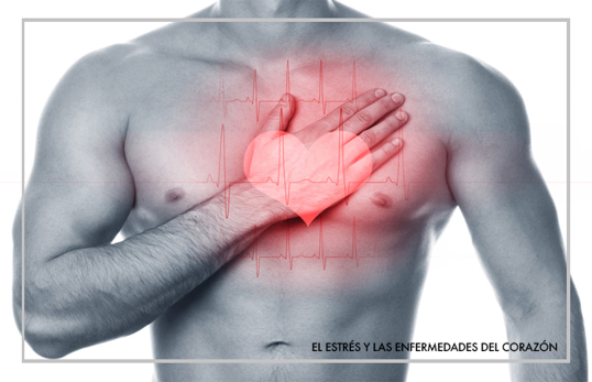 Stress and heart disease | Cardio Care